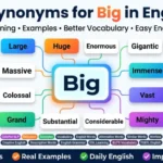 synonyms for big in english