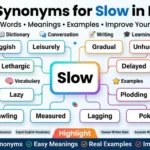 synonyms for slow list